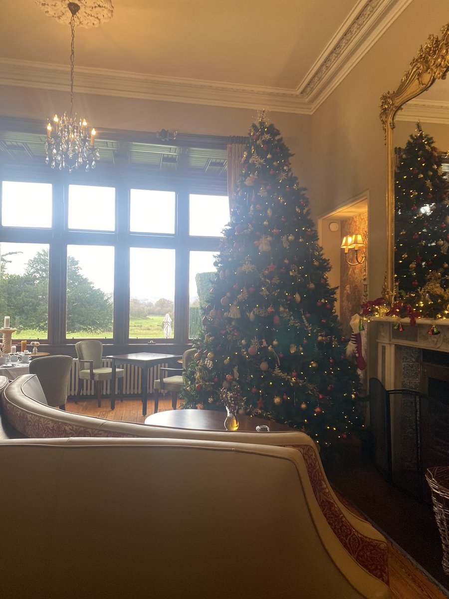 Katie foley tweet media