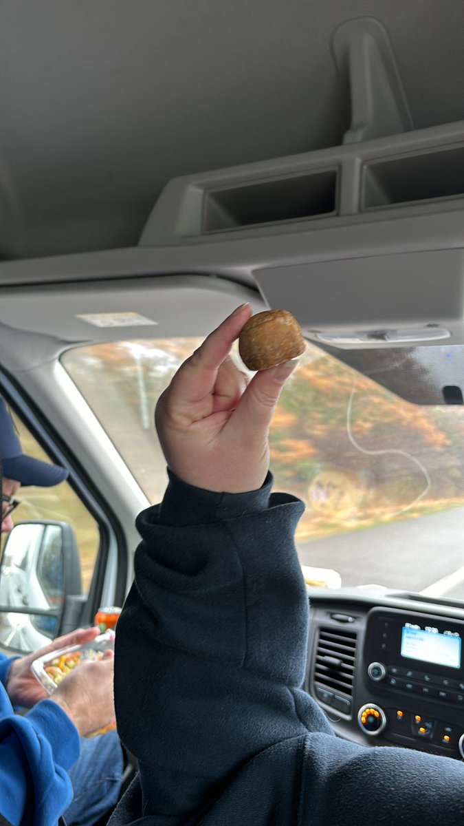 Clair Selects the trusty pork pie 🥧 😋