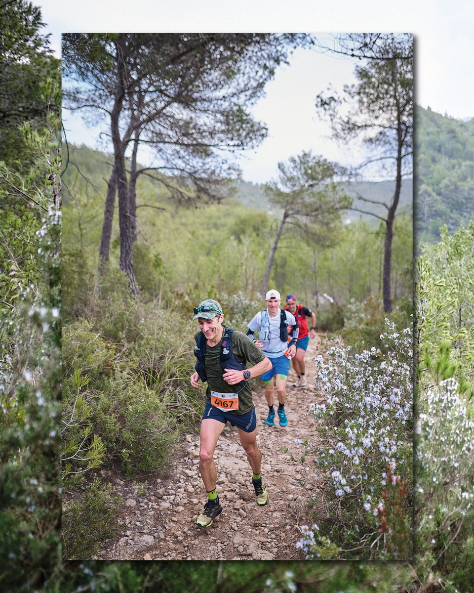 Ultra Trail Barcelona tweet media