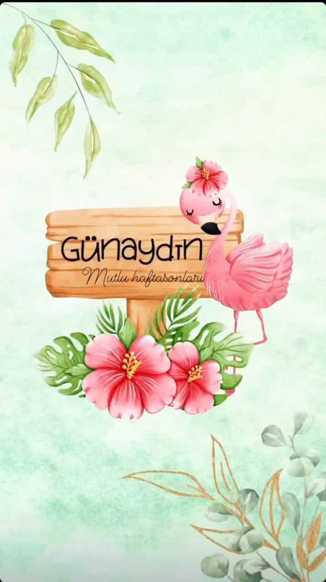 PMezitli's tweet photo. Günaydın Mutlu Hafta sonları 

#perifitstudiomezitli https://t.co/HGEOIfCsN9