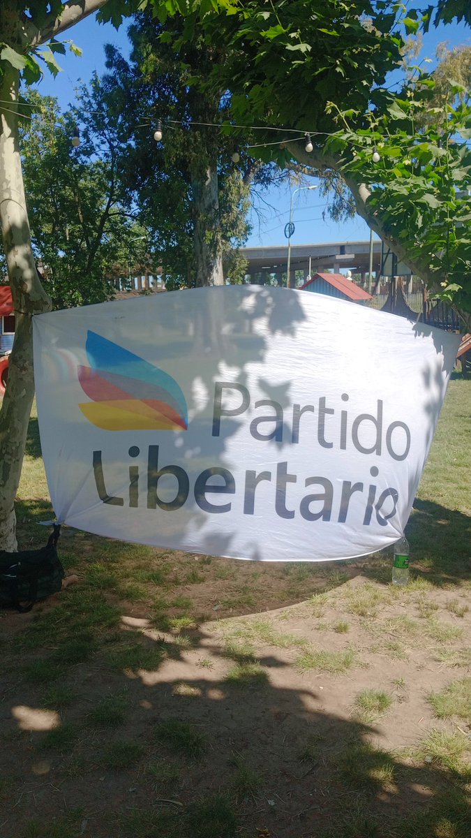 PartidoDifusion's tweet photo. Festejando por el triunfo de @JMilei  junto a los fiscales . @LibertariosBA siempre presentes. https://t.co/55K4hJD7SU