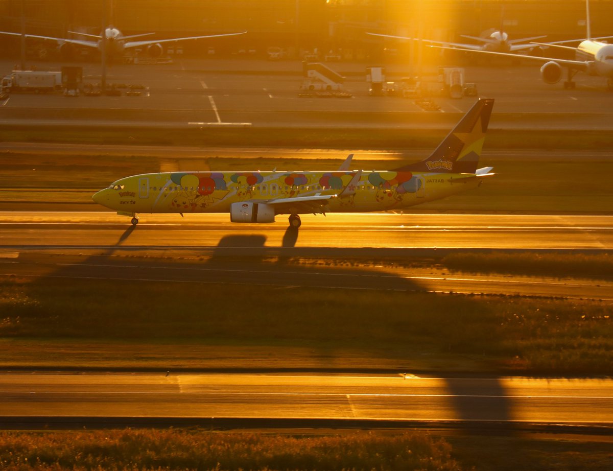 ハム太郎。 tweet media