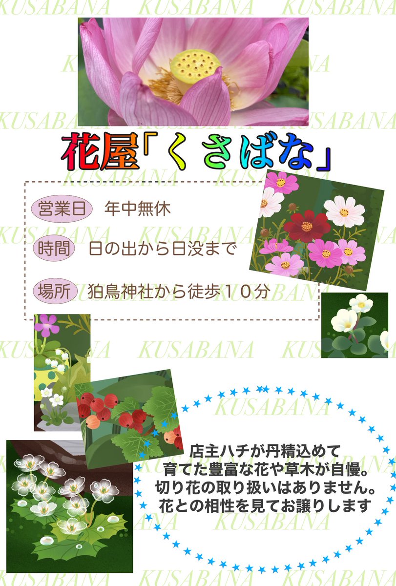 とうた(擬の姿) tweet media