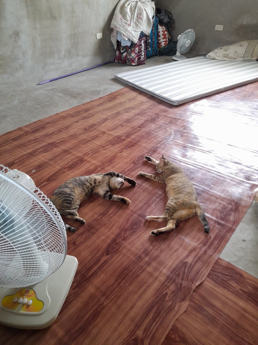 miss ka na namin ni grey, balik ka ba pls. i love you