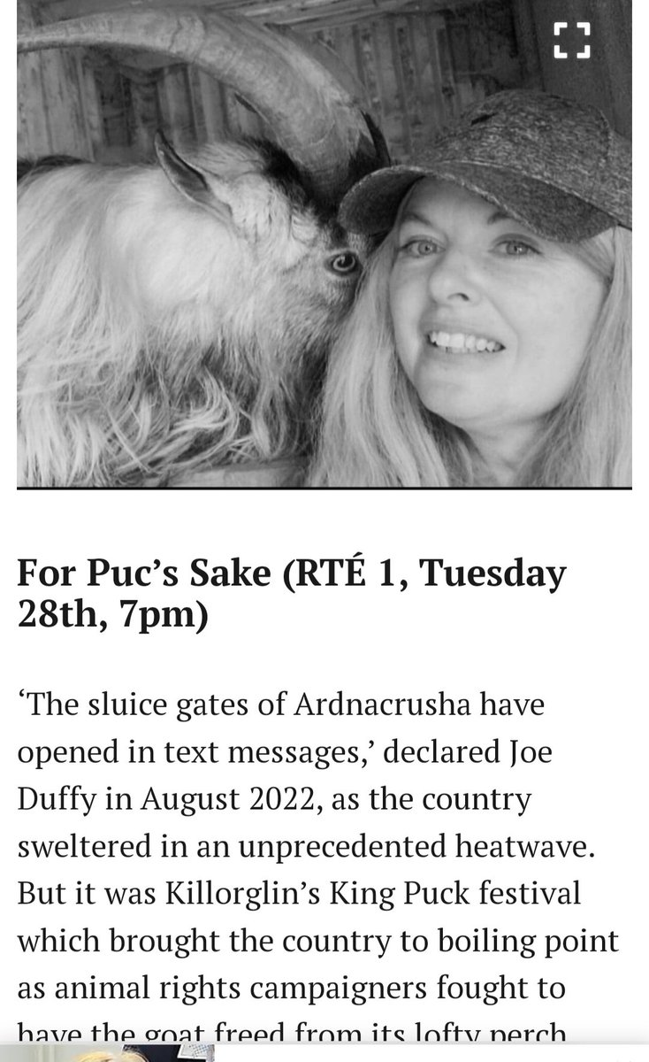 catlowry54's tweet photo. #MacDara has something to say about #thepuckfair 💕 https://t.co/evTkUYhV2L