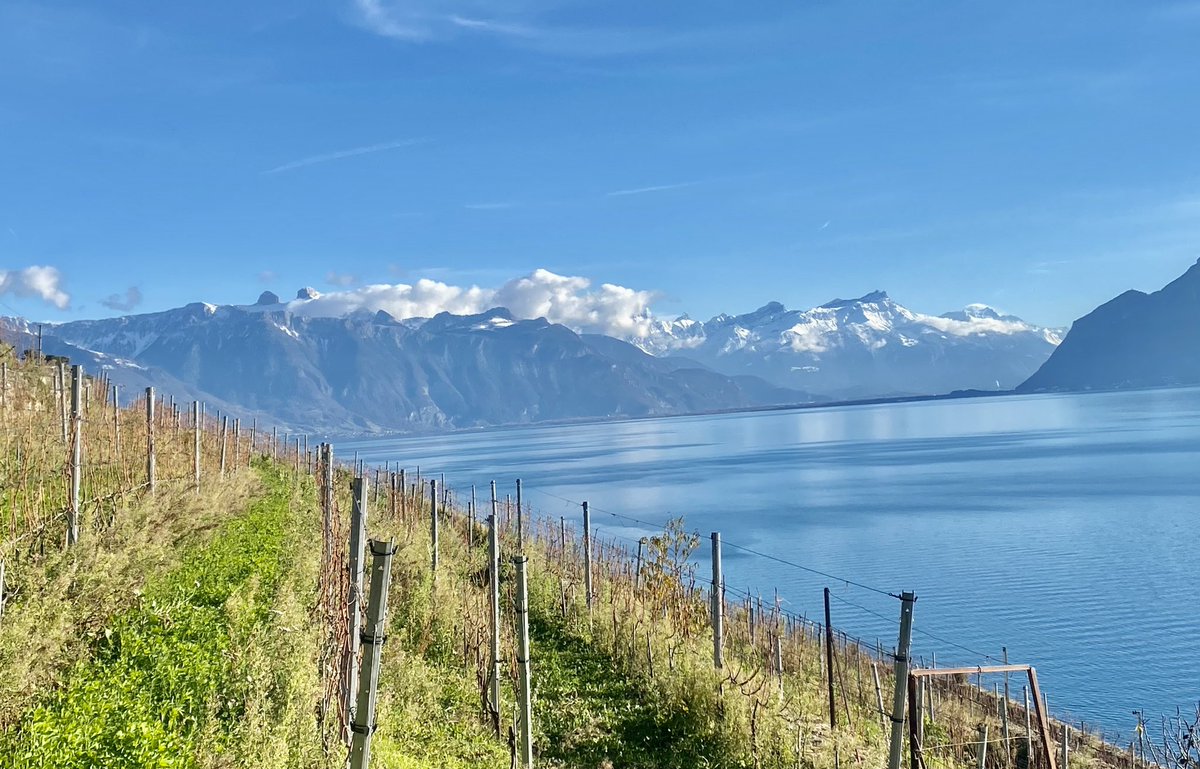 A beautiful day to walk with my mother through the vineyards along Lake Geneva. #Dezaley #Lavaux #Rivaz #LacLéman