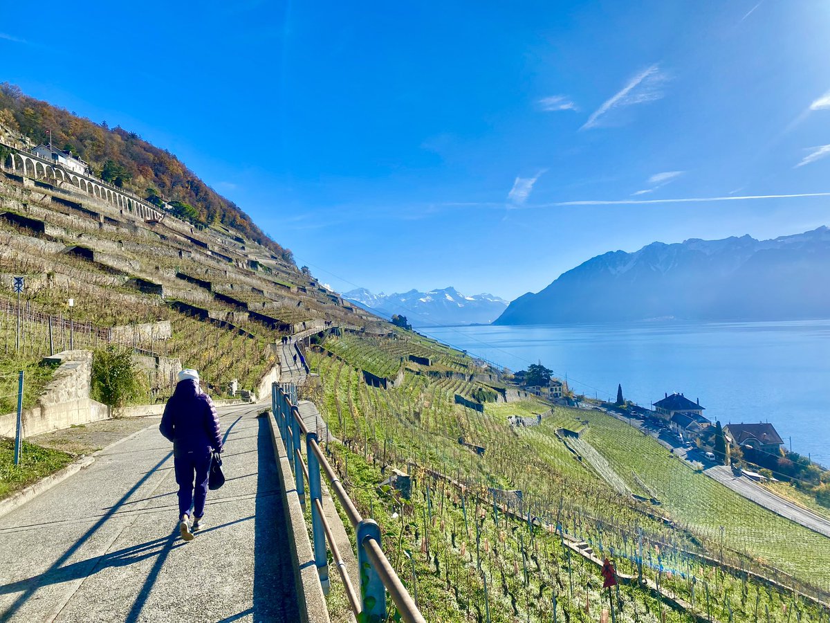 NorwayAmbCH's tweet photo. A beautiful day to walk with my mother through the vineyards along Lake Geneva. #Dezaley #Lavaux #Rivaz #LacLéman https://t.co/lySunZKrBA