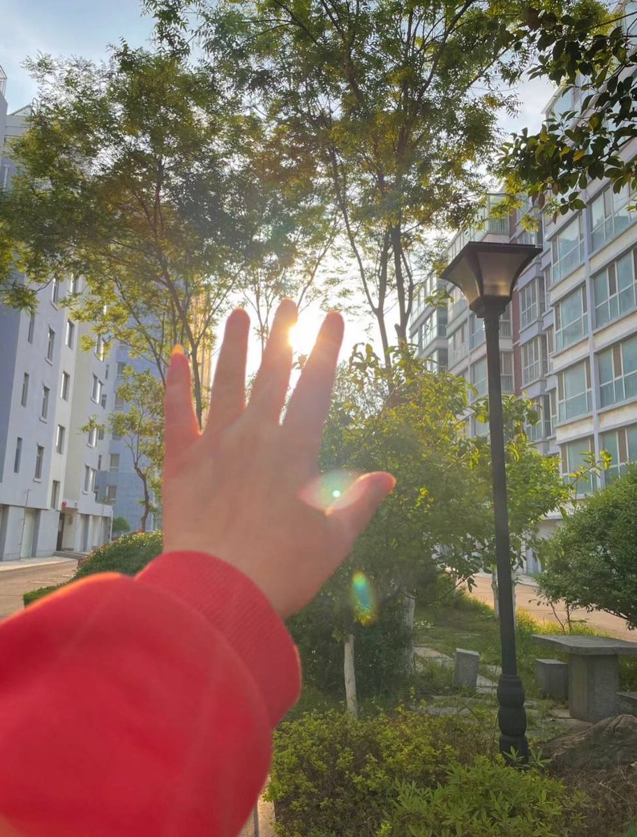 wenrousu's tweet photo. 心情要好，生活要嗨
愿小小日子，优哉游哉 https://t.co/q9SLx3UUqn