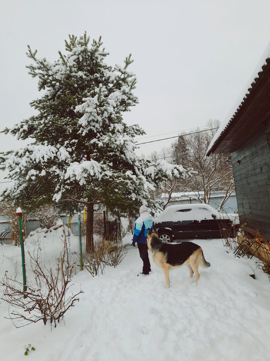 В лес бы, но на даче было тоже неплохо, я хоть и родилась летом, но зиму люблю всем 🤍🎄