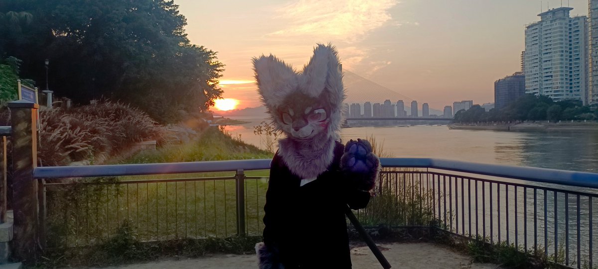 ZeraoraHF's tweet photo. Cool～ right？Maybe…？ https://t.co/oGrAyzChQW