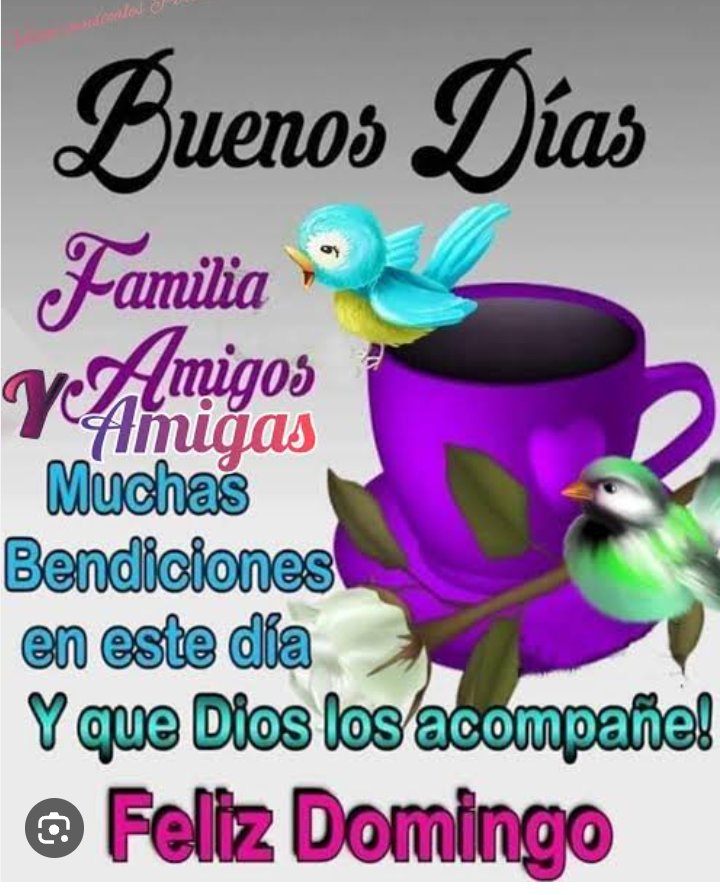 Antonieta Trinidad (@antonieta_trin) on Twitter photo 