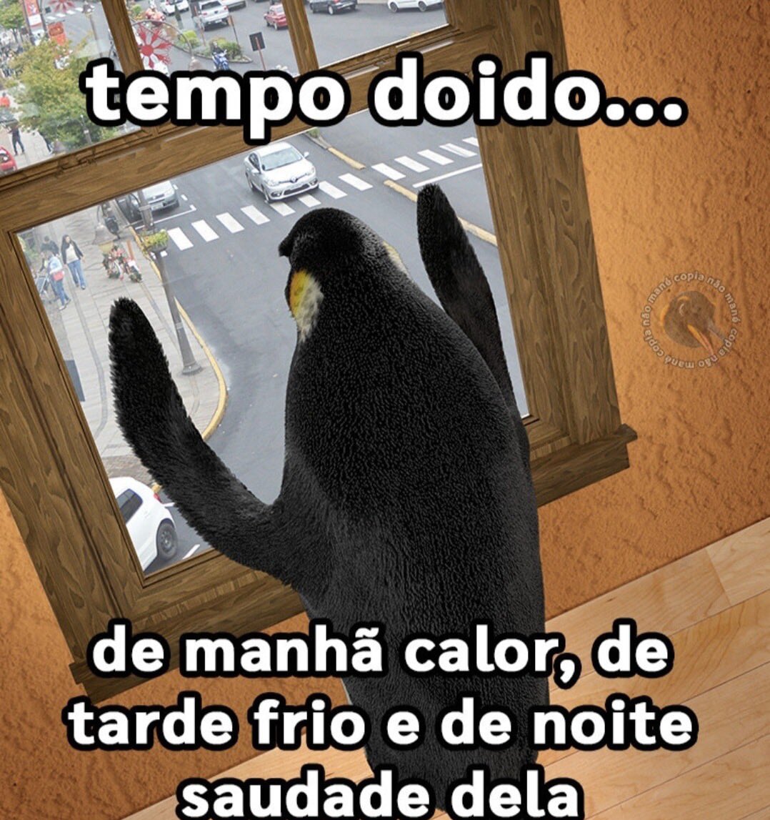 shitpostverdade's tweet photo. https://t.co/rF3PgiHsiQ