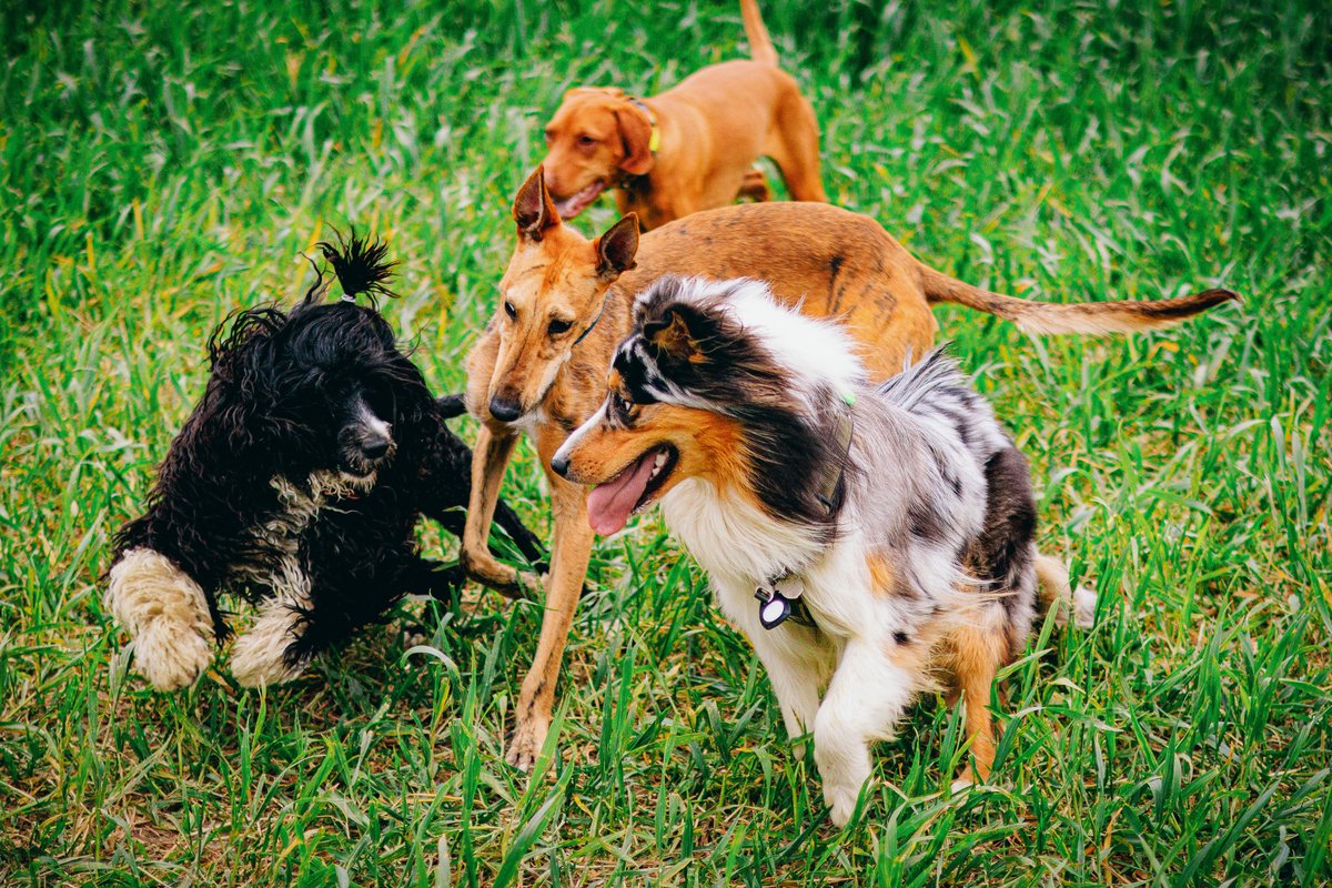 Tobby & A tweet media