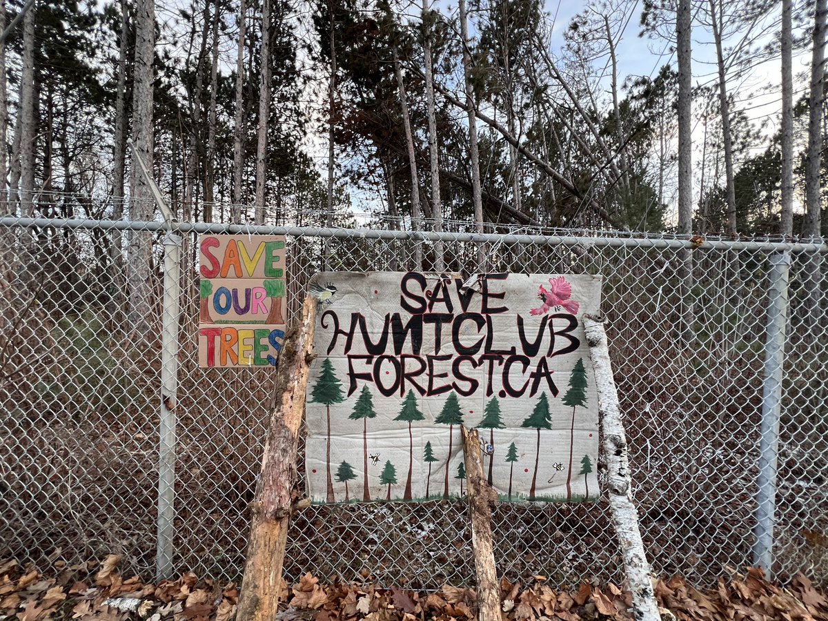 OttTreeHugger's tweet photo. #PROTESTING PEACEFULLY and RESPECTFULLY 
FOR 2.5 years!!!
#SAVEHUNTCLUBFOREST 
@pablorodriguez @s_guilbeault @Yasir_Naqvi 
Our MP is MIA>@liberal_party 
Shouldn’t almost 22,000 folks have a VOICE???
@CFRAOttawa @CBCOttawa @ctvottawa @CTVNews @globalnews @HorizonOttawa https://t.co/JzCHQ1DyK3
