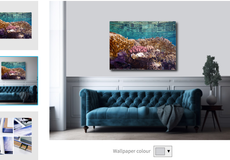 Beautiful #wallart on sale. 15% discount on Photo4Me.
#giftftidea
#coralreef

shop.photo4me.com/1255849/canvas…