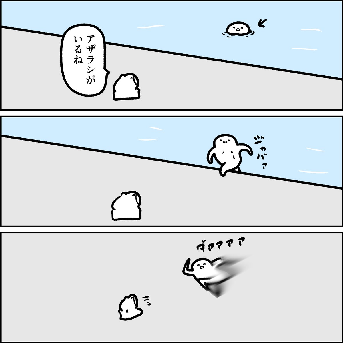 アザラシ 