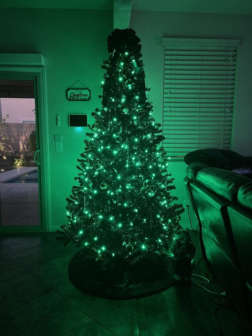 Good Morning! 🎄 Went with all green this year on my black tree!!! I love it! 🖤💚🖤 #ChristmasTree #goodmorning<a href="/tag/goodmorning"class="tags"><span>#goodmorning</span></a><a href="/tag/christmastree"class="tags"><span>#christmastree</span></a>