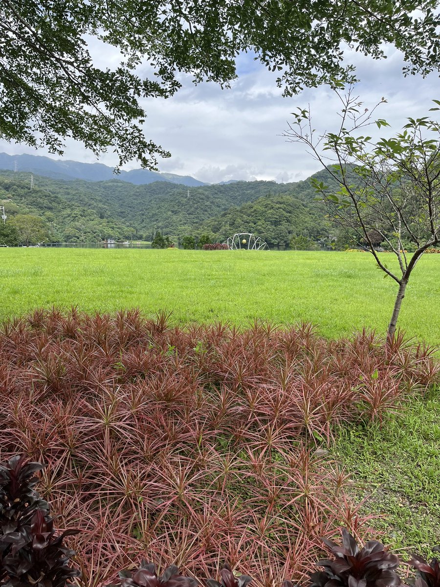 在好的風景也是孤獨的