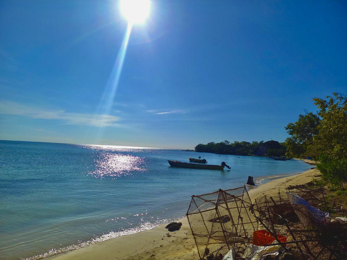 thenfajamaica's tweet photo. Good Morrrrninngg! 🌞
It’s Sunday, so we use today to RELAX, REFLECT, and RECHARGE.
Take a break from the chaos and find peace in the simple things.
📍#TeamNFA sending you all some Sunday love from the Little Bay Fishing Beach in Westmoreland 🫶🏾 https://t.co/0lu7yTIWkn