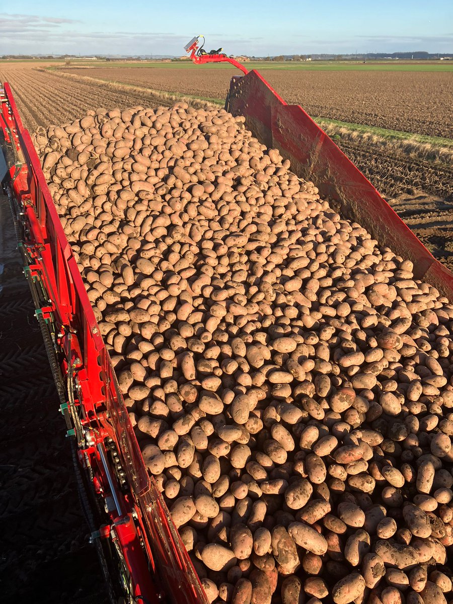 470 doing weekend wonders, thanks <a href="/GrimmeUK/">GRIMME UK Ltd</a> <a href="/AKPGroup_/">AKP Group</a>