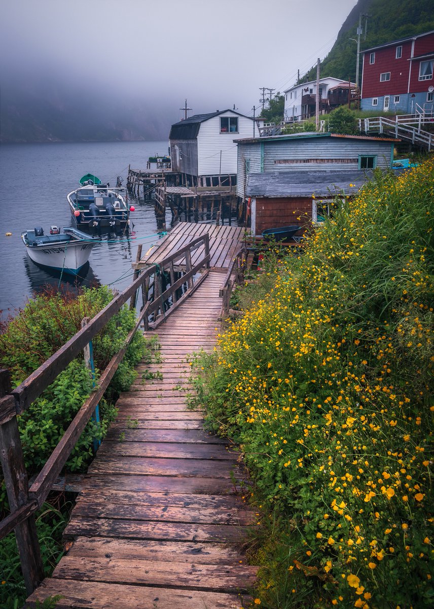 Gord Follett Photography tweet media