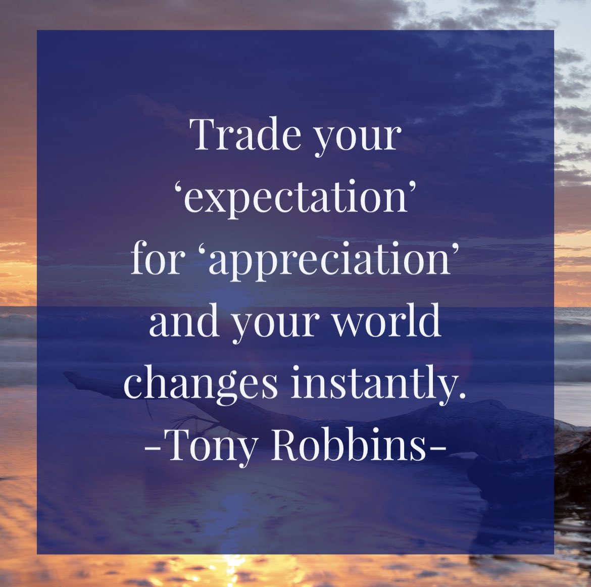 I appreciate all of you! 💛