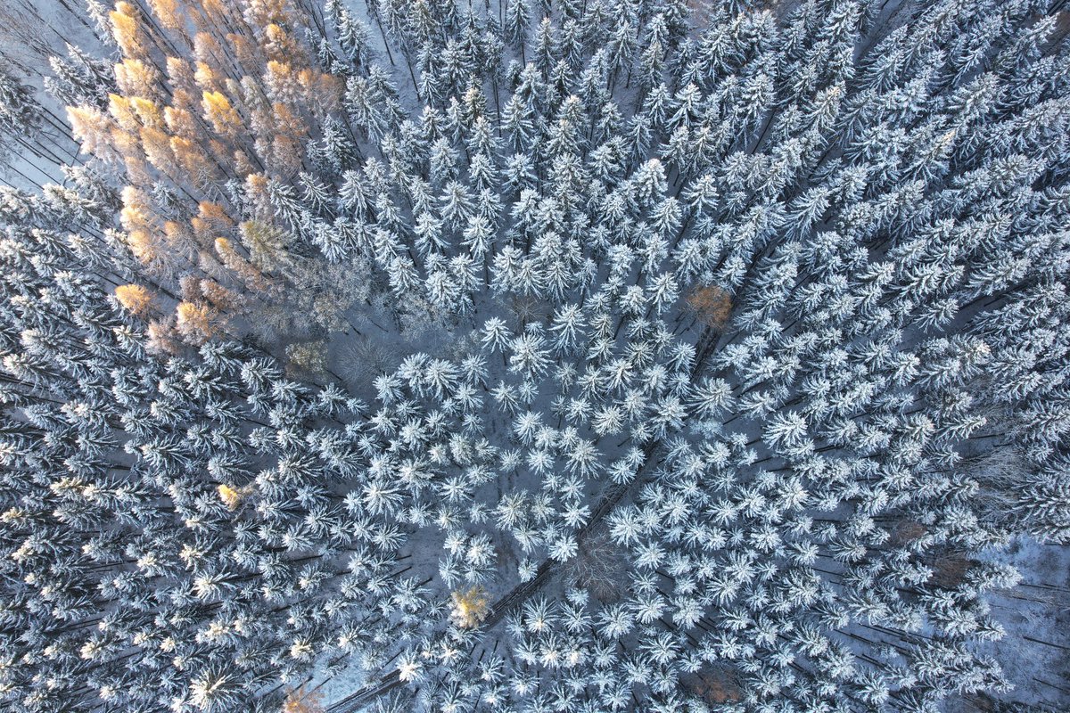 …ja uz zimu “zahajil” 🦅👀