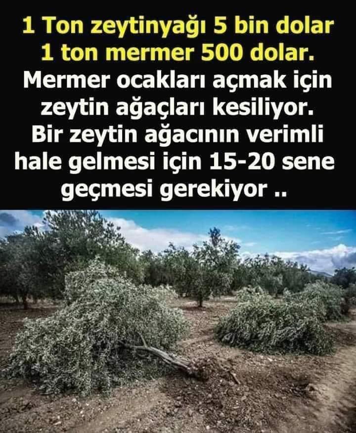 Hasan Kılıç (@hasankl01518348) on Twitter photo 