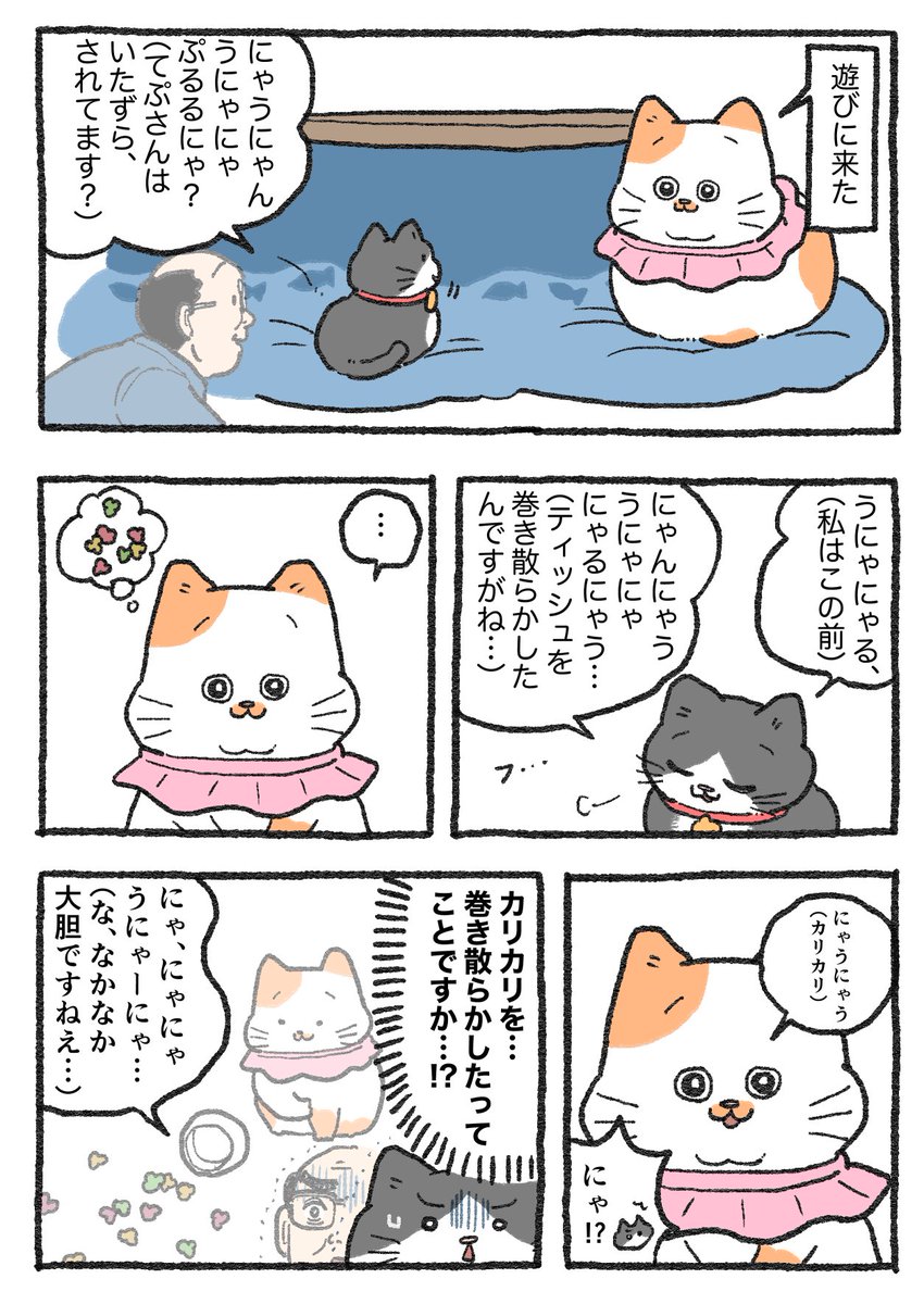 ねこに転生したおじさん 1 やじま 直筆イラスト入りサイン本 シュリンク未開封品 Amazon.co.jp: ねこに転生したおじさん 1 やじま 直筆イラスト入り