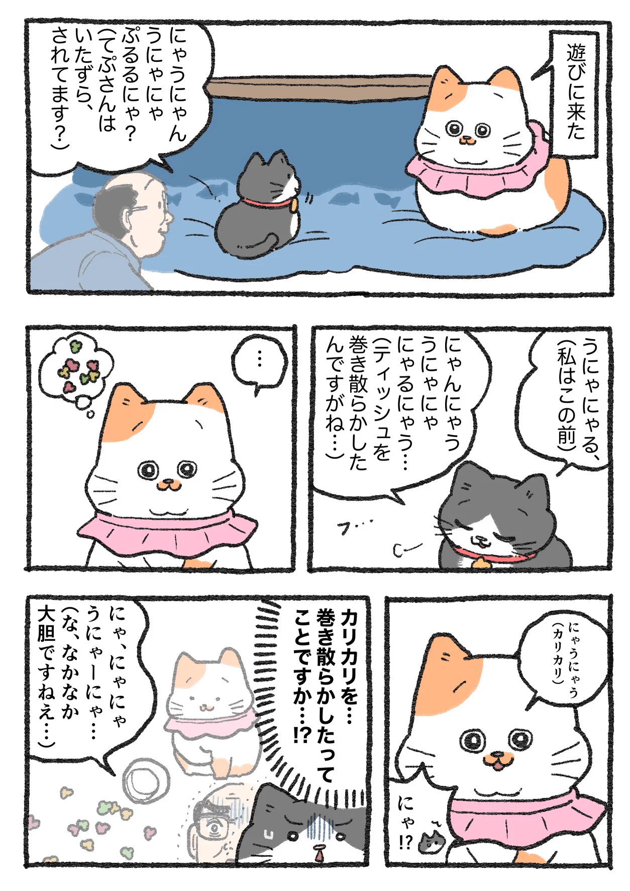 やじま@ねこおじ7・8巻発売中🐱 on X: 