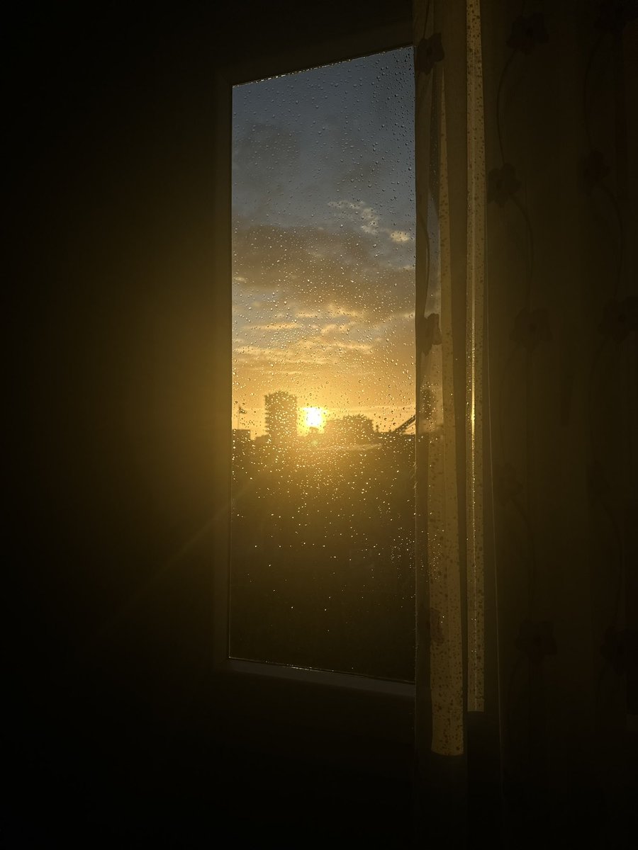 Birdenbire duvar birdenbire gece yarısı ama her şeye rağmen iyimser bir gül ☀️