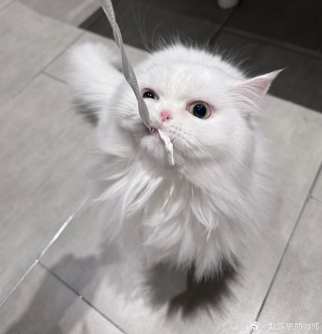 231126 | 🌹Weibo Update! 

[ Caption ]
“ 🛁 ”

🖇️ shorturl.asia/9hteL

#จ้าวลู่ซือ #赵露思 #Zhaolusi