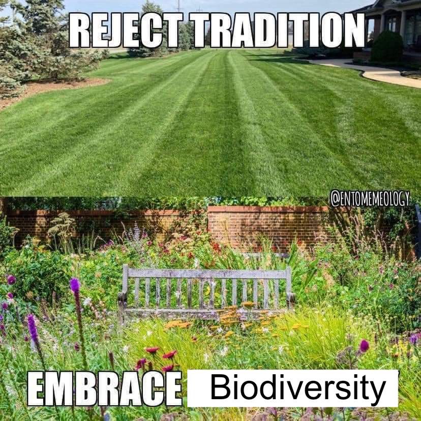 Respectful Memes (@respectfulmemes) on Twitter photo 