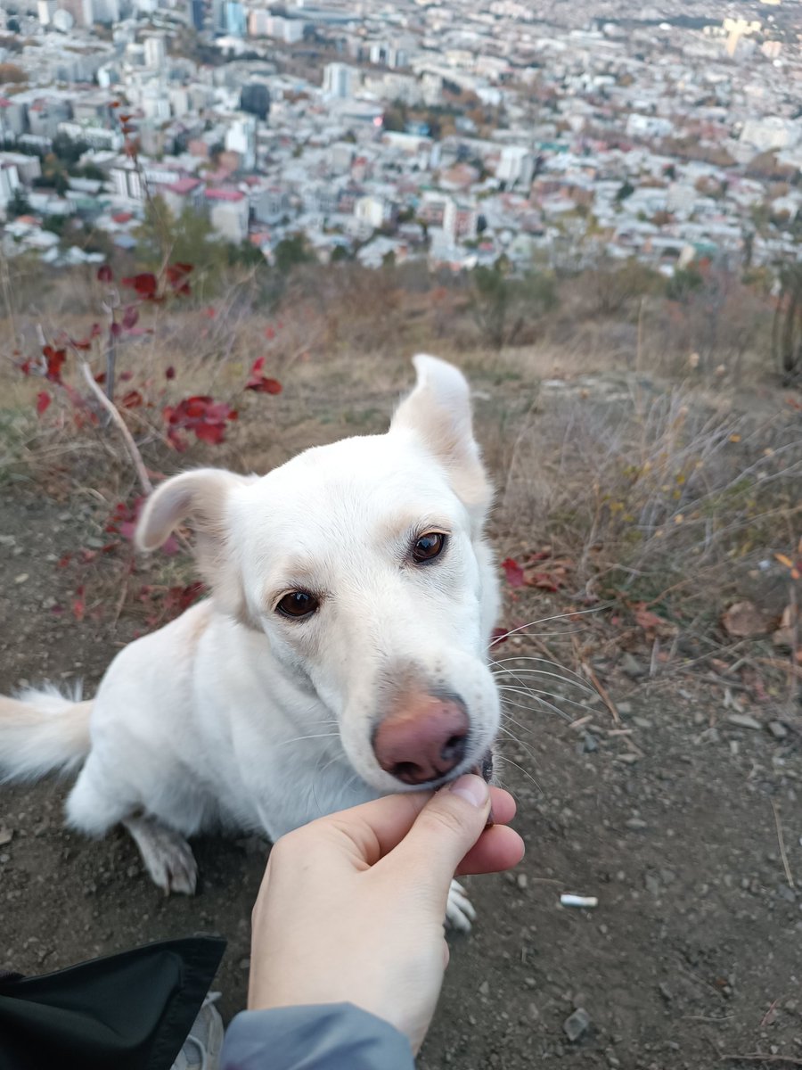 Спмпасибо за вкусню <a href="/worstBikeInTown/">никола нифанта</a> омчень понравилось