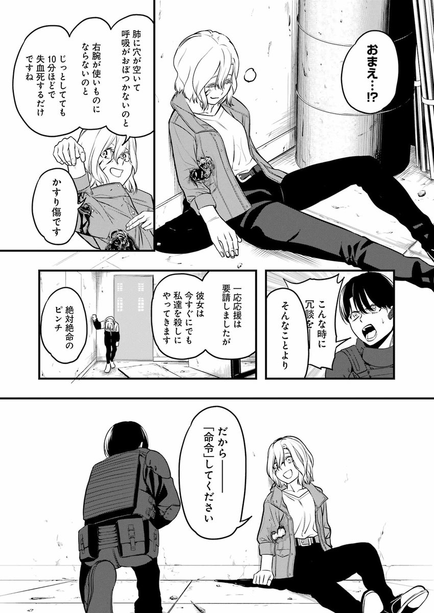 『命令を忠実に遂行する』ということを生き甲斐とする元テロリストの女と、ひょんなところからそんな女を飼うことになった警察隊の女が、生体兵器を身に付けた少女達の行うテロに立ち向かうお話。(12/16)
