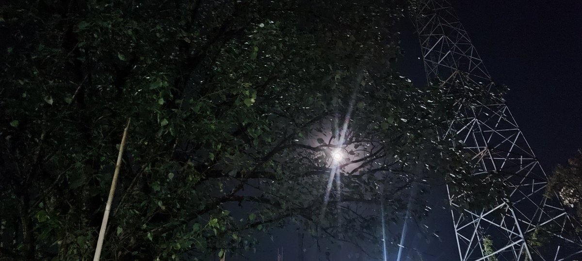 JachsGrey's tweet image. Naked like the moon.