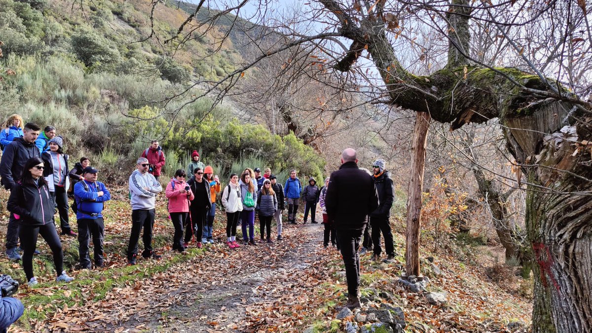 🚶‍♂️ La ruta, que partió de Burbia, fue un paseo de 7 km entre sotos de castaños, diseñado por <a href="/BancoTierras/">Banco de Tierras del Bierzo</a>  y la Marca de Garantía Castaña de El Bierzo. Pablo Linares, de <a href="/FrutasdelBierzo/">Frutas del Bierzo</a>, habló sobre las variedades bercianas de castaña y los cuidados del castaño. 🌳#RutaCastaña