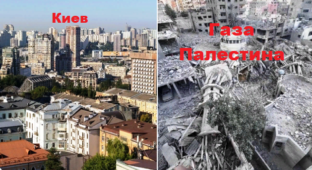 sheffchenkoyuri tweet picture