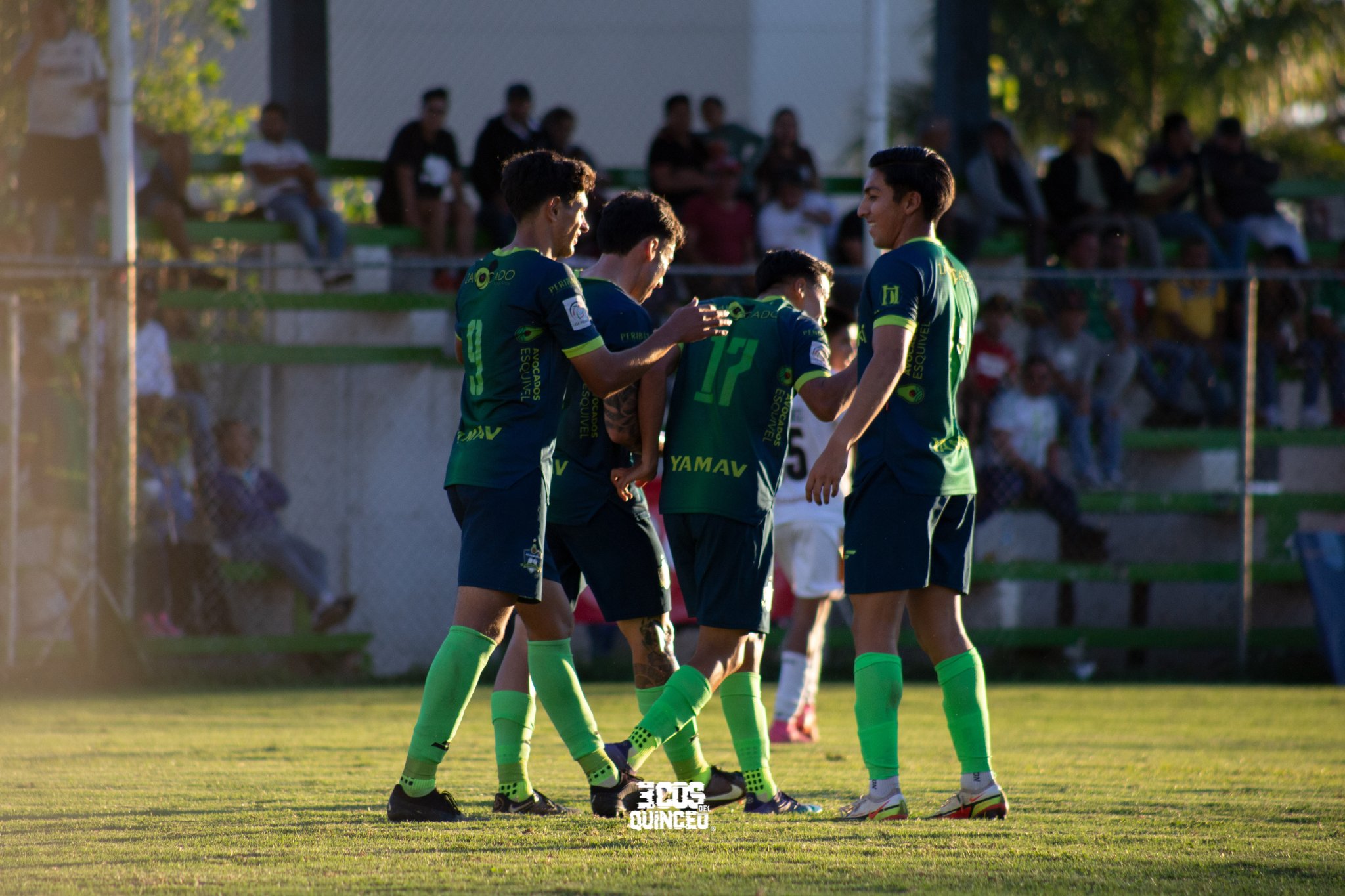 Aguacateros de Peribán F.C. (@aguacatepowerr) / X