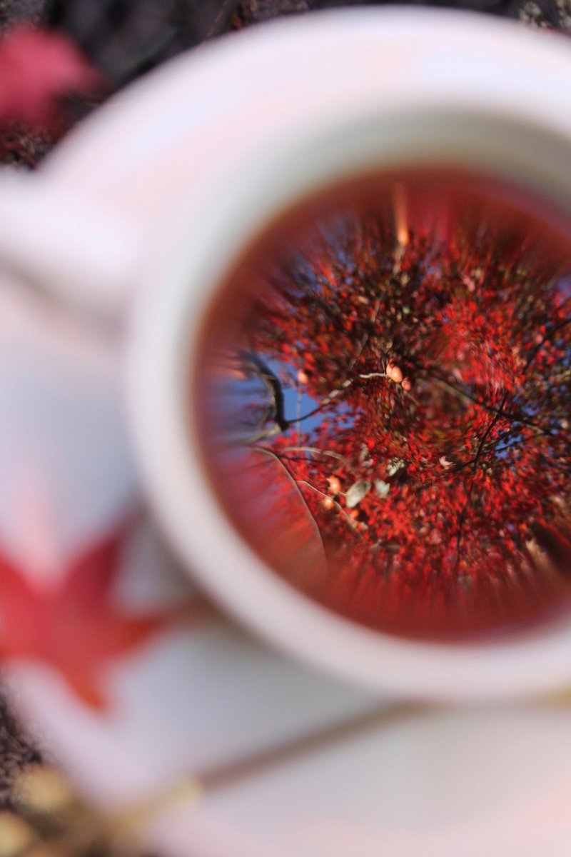 Dai_gamedevelop's tweet image. 紅葉とコーヒー