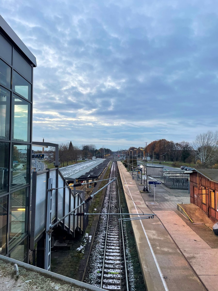 Jaroslav Rudiš tweet media