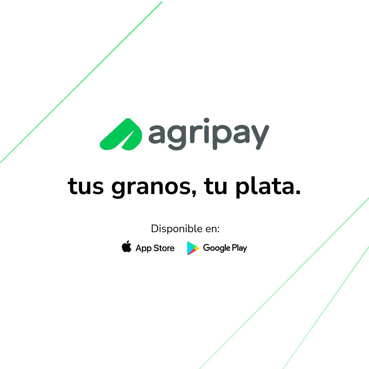 agripay_ar's tweet photo. 🌽 Con Agripay, tus kilos, tu plata 💰. ¿Cómo funciona? Cargas tu billetera con kilos en tu acopio, compra o canjea tranquilo, solo se utilizan los kilos necesarios para la operación.🤯  ¿Necesitas efectivo? No hay problema,  convertís kilos a pesos al día siguiente 🫰.  #AGRIPAY https://t.co/yp4ax3Uw5q