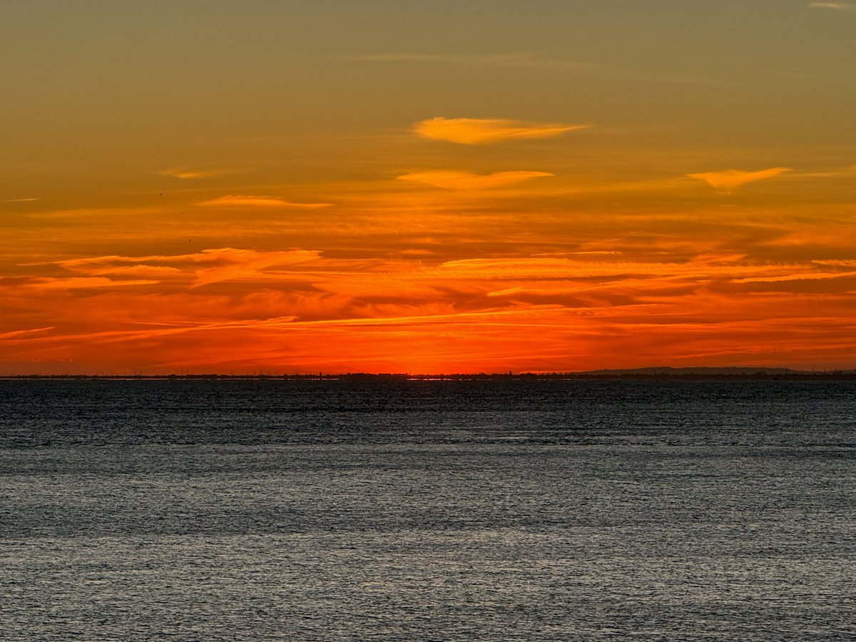 Greg Garrod-Bell tweet media