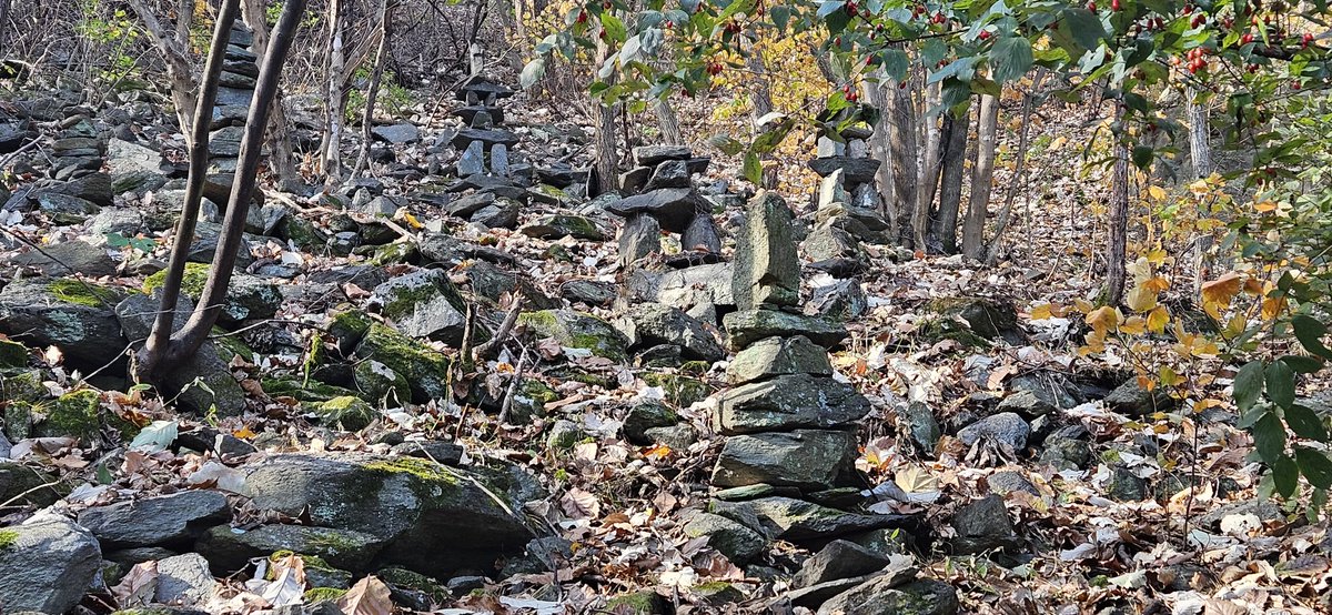 munsangjun14's tweet image. 