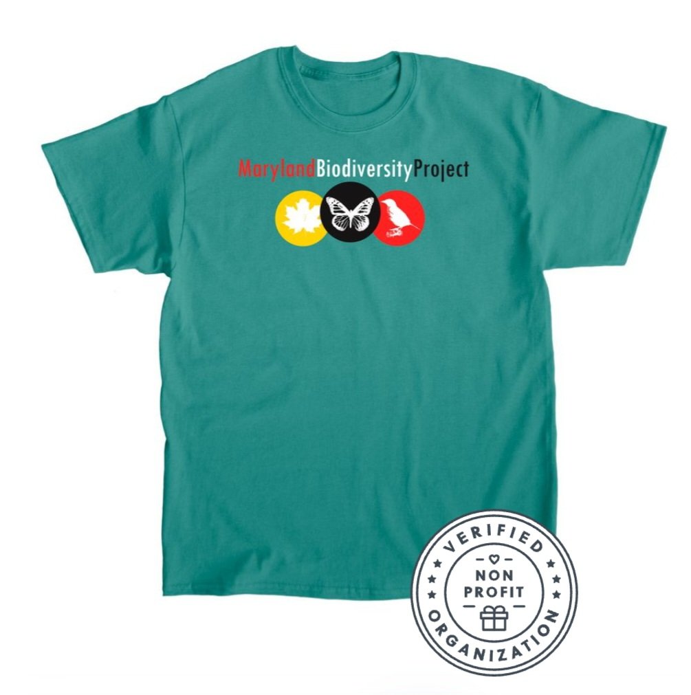 MarylandBiodiversity tweet media