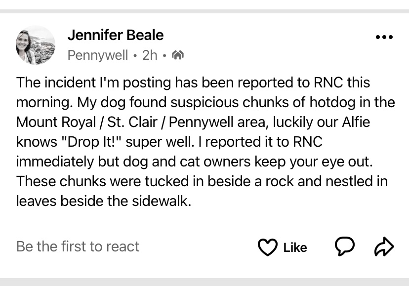 DaraMBarrett's tweet photo. Heads up pet owners in the St Clair/Pennywell area! Reported this morning. https://t.co/8369aSOxur