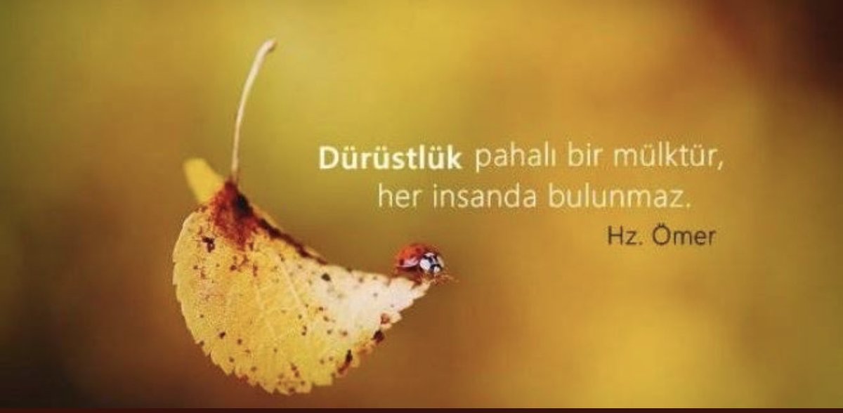 drnevzattarhan's tweet photo. Kıymetini bilende yaşar https://t.co/eN5Lhp3syI