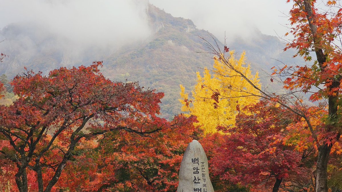 munsangjun14's tweet image. 