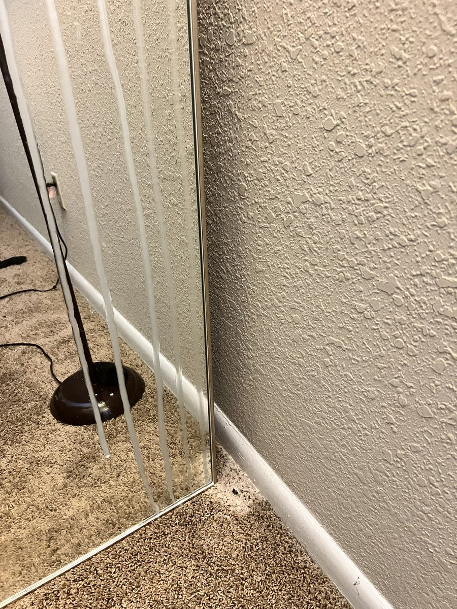 Tiffany _ LMA_Littles tweet media