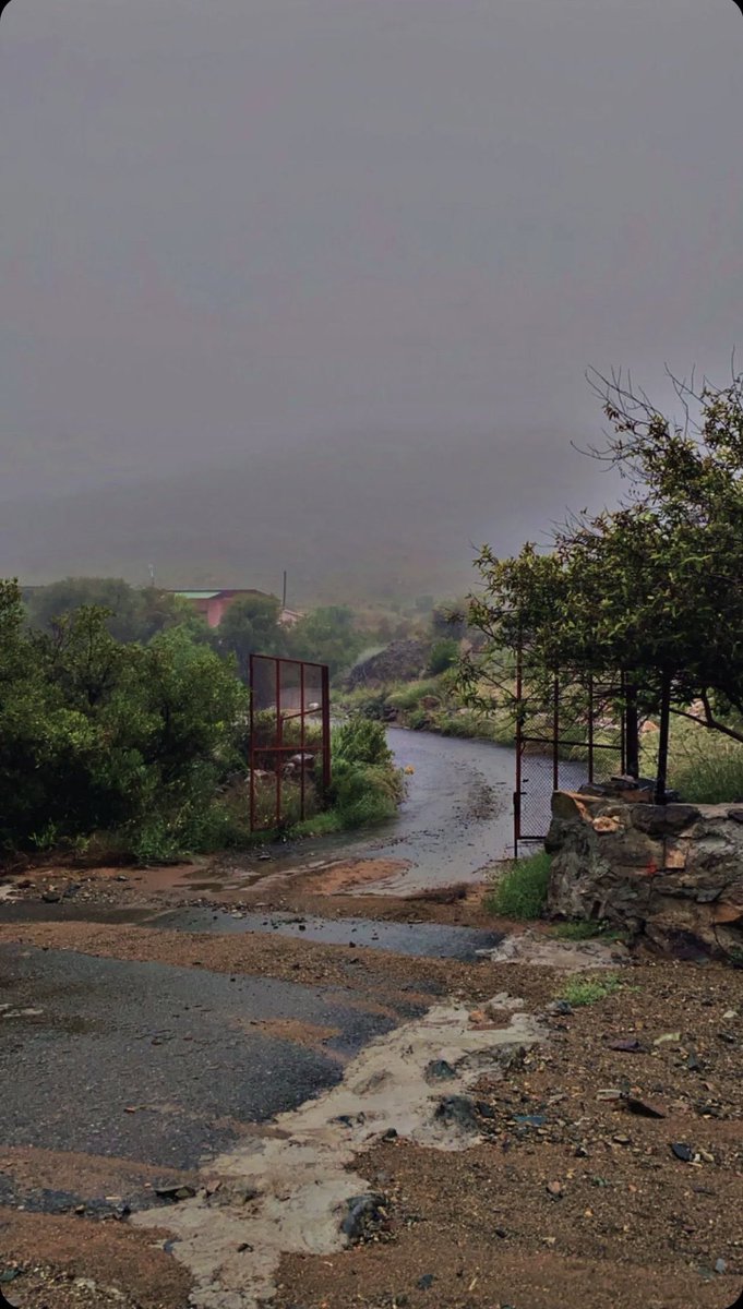 علي الغامدي | 📸 tweet media